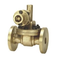 CS Cast Steel Side Blow Off Parallel Valve Flange End (Wj-Neta)